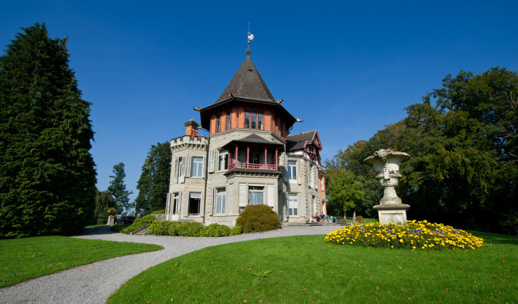 Dreilindenpark Konsipark Luzern Outdoor Yoga 